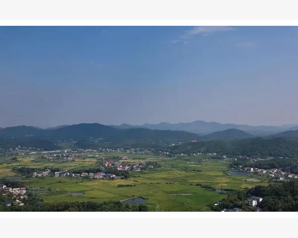 支付费用会计分录的实务操作要点
