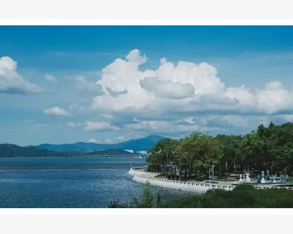 中医神奇之道：中药方剂治疗脑癌的启示